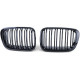 Body kit e accessori visivi RACES griglia (Sport Double Bar) per BMW 3 series E46 98-01, lucido | race-shop.it