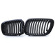 Body kit e accessori visivi RACES griglia (Sport Performance) per BMW 3 Series E46 Coupe Convertible 99-03, opaco | race-shop.it