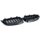 Body kit e accessori visivi RACES griglia (Sport Double Bar) per BMW 3 Series GT F34, lucido | race-shop.it