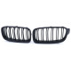 Body kit e accessori visivi RACES griglia (Sport Double Bar) per BMW 3 Series F30 F31 11-19, opaco | race-shop.it