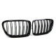 Body kit e accessori visivi Griglia sportiva prestazioni a doppia barra lucida adatto a BMW X1 E84 0-15 | race-shop.it