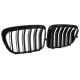 Body kit e accessori visivi Griglia sportiva prestazioni a doppia barra lucida adatto a BMW X1 E84 0-15 | race-shop.it