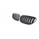 Body kit e accessori visivi RACES griglia (Sport Performance) per BMW E63 E64 04-10, nero opaco | race-shop.it