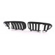 Body kit e accessori visivi RACES griglia (Sport Performance) per BMW E63 E64 04-10, nero opaco | race-shop.it
