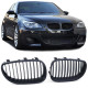 Body kit e accessori visivi RACES griglia (Sport Performance) per BMW 5 Series E60 E61 03-10, opaco | race-shop.it