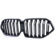 Body kit e accessori visivi Griglia sportiva prestazioni a doppia barra lucida adatto a BMW X6 G06 da 19 | race-shop.it
