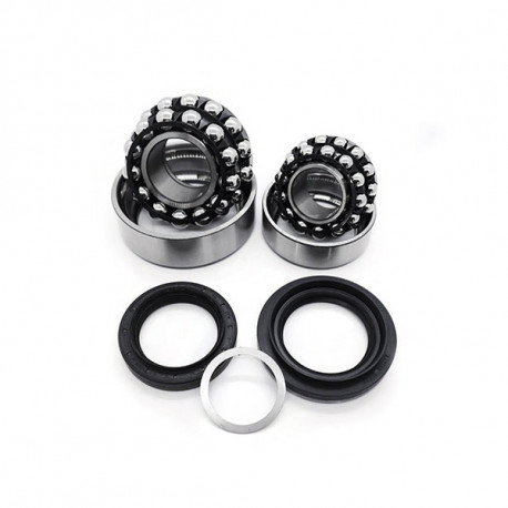 RacingDiffs RacingDiffs front differential bearing kit (iron type case) for BMW | race-shop.it