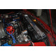 Ford VENTOLA PER RADIATORE SPORTIVO 79-93 Ford Mustang . | race-shop.it