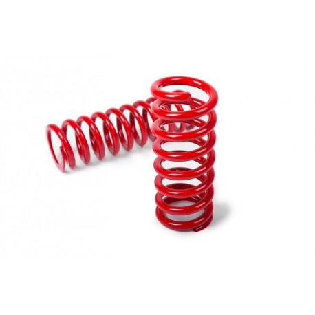 Completo MTS Technik Molle ribassate MTS Technik per Chevrolet / Daewoo Rezzo 2001 - 2004, 35 mm / 25 mm | race-shop.it