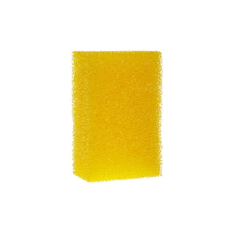 Accessori Koch Chemie Spugna dura per insetti | race-shop.it