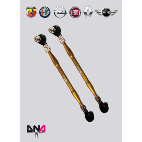 Anti-roll bars DNA RACING front sway bar tie rods on uniball for RENAULT Clio III - RS incl. | race-shop.it