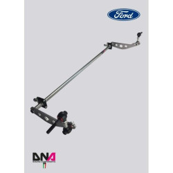 DNA RACING rear adjustable torsion bar ø 20x3mm kit for FORD FIESTA MKVII (2008 - 2017)
