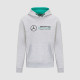Felpe con cappuccio e giacche Mercedes-AMG Petronas Logo hoodie, grey | race-shop.it