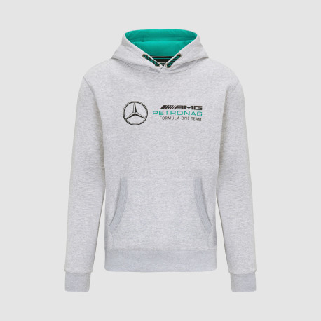 Felpe con cappuccio e giacche Mercedes-AMG Petronas Logo hoodie, grey | race-shop.it