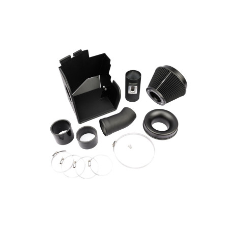 F30 F31 F32 F33 F34 Proram Kit di induzione a fit BMW F20/F21/F30/F31/F80 116i 118i 316i 320i | race-shop.it