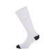 Abbigliamento intimo Calze ignifughe omologate FIA ALPINESTARS ZX V4 (lunghe), bianco | race-shop.it