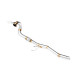 Down pipes e dump pipes Downpipe per VOLKSWAGEN Jetta Mk5 1.9, 2.0 TDI 2006-2011 | race-shop.it