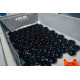 Valvole di sfiato BOV per marca di auto FORGE Valvola atmosferica BOV per Volkswagen Golf MK8 2020- Clubsport 45 GTI R (E-DV) | race-shop.it