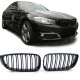 RACES griglia (Sport Double Bar) per BMW 3 Series GT F34, lucido DANNEGGIATO
