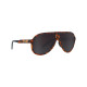 Sunglasses Sunglasses Pit Viper - The Landlocked Polarized Jethawk | race-shop.it