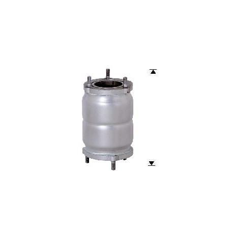 CAT e DPF Magnaflow a montaggio diretto Catalizzatore Magnaflow per CHEVROLET DAEWOO | race-shop.it