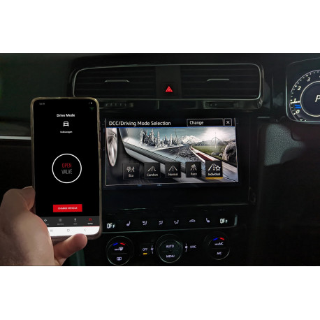 Sistemi di scarico XFORCE OEM Drive Mode Factory Control 3 pin PWM to VAREX Smartbox | race-shop.it