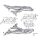 CAT e DPF Magnaflow a montaggio diretto Catalizzatore Magnaflow per LEXUS | race-shop.it
