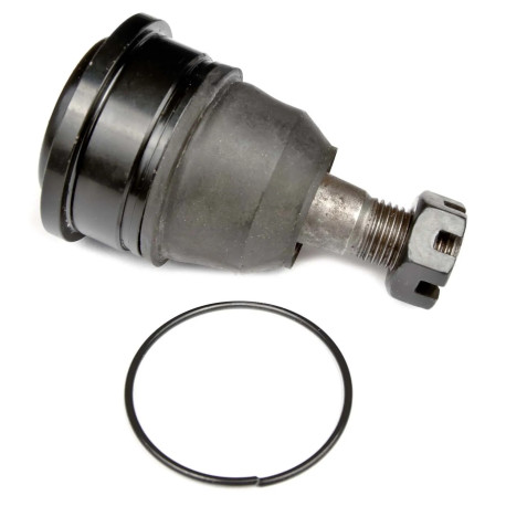 Pedders Pedders PBJ4981 Snodo sferico | race-shop.it