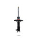 Ammortizzatori sportivi Pedders 8843L Sealed Strut | race-shop.it