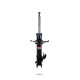Ammortizzatori sportivi Pedders 8831R Sealed Strut | race-shop.it