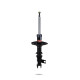 Ammortizzatori sportivi Pedders 8818R Sealed Strut | race-shop.it