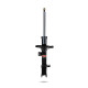 Ammortizzatori sportivi Pedders 8403L Sealed Strut | race-shop.it