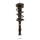 Ammortizzatori sportivi Pedders 808981L EziFit Strut | race-shop.it