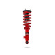 Ammortizzatori sportivi Pedders 807307 EziFit Foam Strut (280074) | race-shop.it