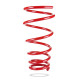 Pedders Pedders 7595 Heavy Duty Coil Spring | race-shop.it