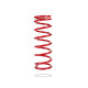 Pedders Pedders 7098R Heavy Duty Coil Spring | race-shop.it