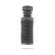 Pedders PEDDERS tampone e cuffia parapolvere anteriore per Nissan El Grand/Pathfinder | race-shop.it