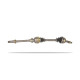 Drive Shafts Pedders 410057R CV - Shafts | race-shop.it