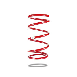 Pedders 280135 Trakryder Coil Spring