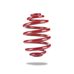 PEDDERS SportsRyder molla posteriore per Vauxhall Monaro, Toyota Lexcen, Volkswagen Passat (ribassata)