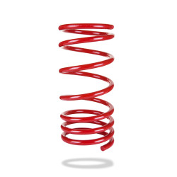 PEDDERS SportsRyder molla per BMW 5 Series, Nissan Pulsar/Maxima/Nx & Nxr/Presea e altri (ribassata)