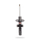 Pedders Pedders 129236 Shock | race-shop.it