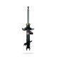 Ammortizzatori sportivi Pedders 129050L Sealed Strut | race-shop.it