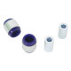 SuperPro Hyundai/Kia 2016-on Rear Control Arm Lower-Front Inner Bush Kit (80ShA) | race-shop.it