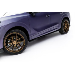 Minigonne Cupra Terramar Mk1