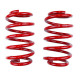 Promozioni RACES performance coilover kit per Volkswagen Golf MK4 (98-05) | race-shop.it