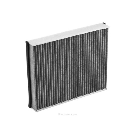 Filtri abitacolo RYCO cabin air filter with activated carbon RCA287C | race-shop.it