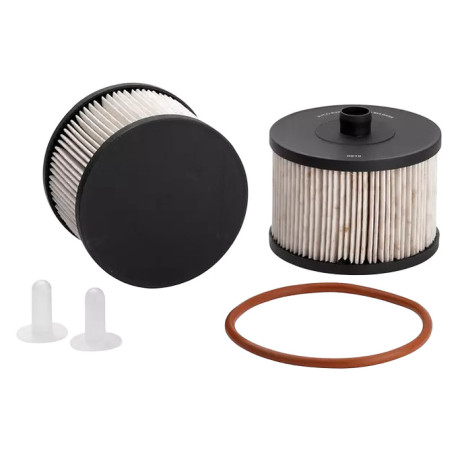 Per marca e modello RYCO fuel filter R2641P | race-shop.it