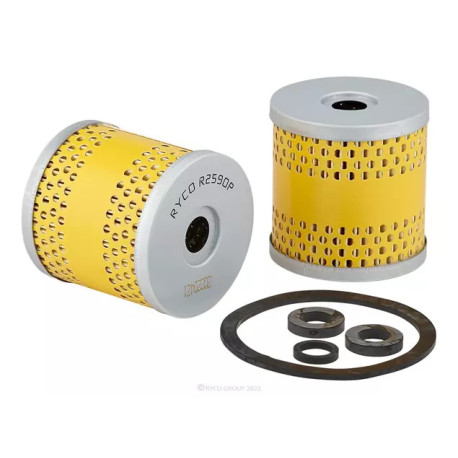 Per marca e modello RYCO fuel filter R2590P | race-shop.it
