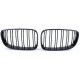 Bazár RACES griglia (Double Bar Performance) per BMW E81 E82 E87 E88 LCI, lucido DANNEGGIATO | race-shop.it